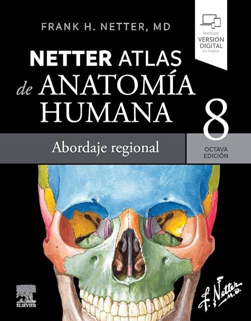 Portada de Netter. Atlas de anatomía humana. Abordaje regional