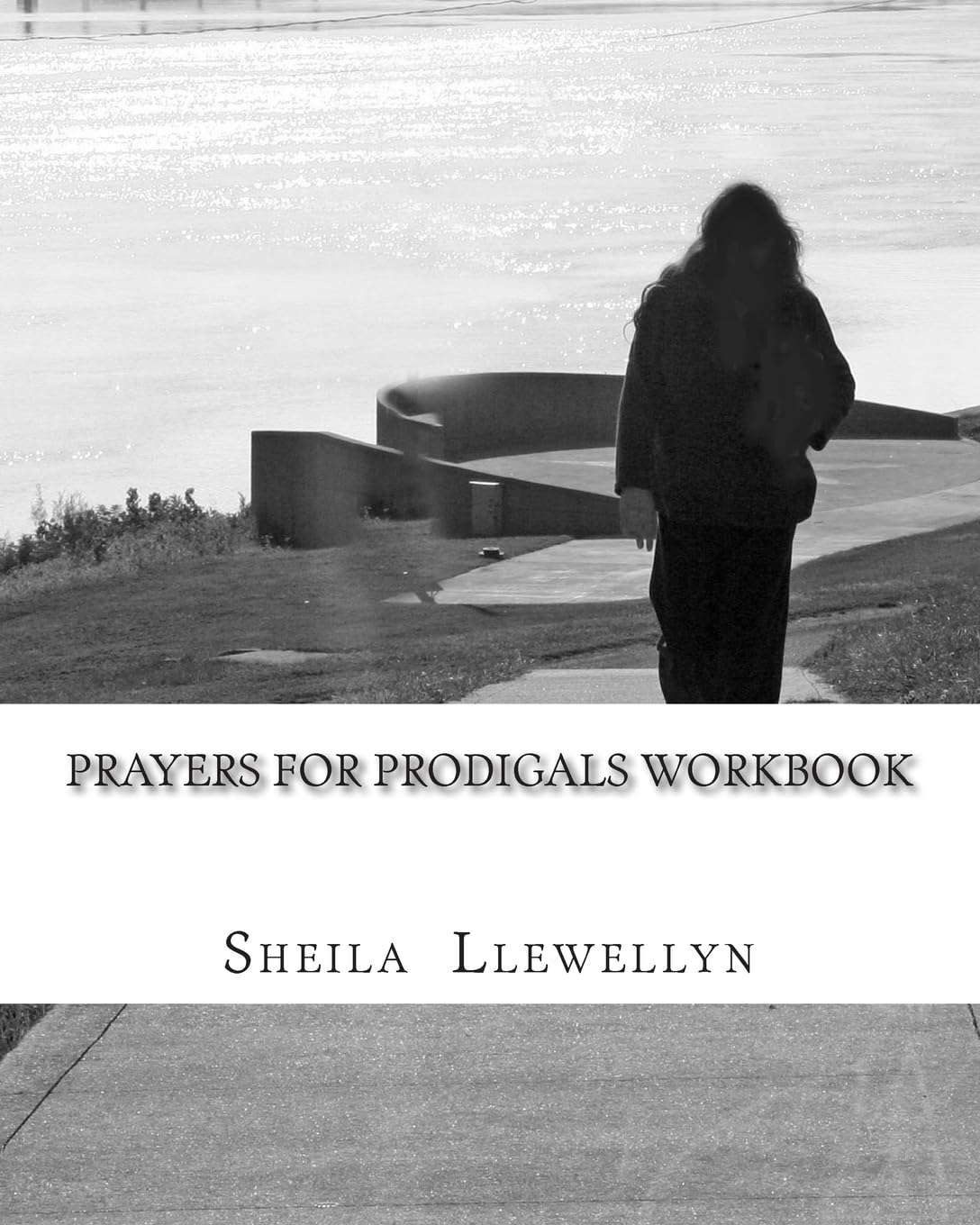 Prayers for Prodigals Workbook: Support group start-up and leader's guide (Prayers for Prodigals series)