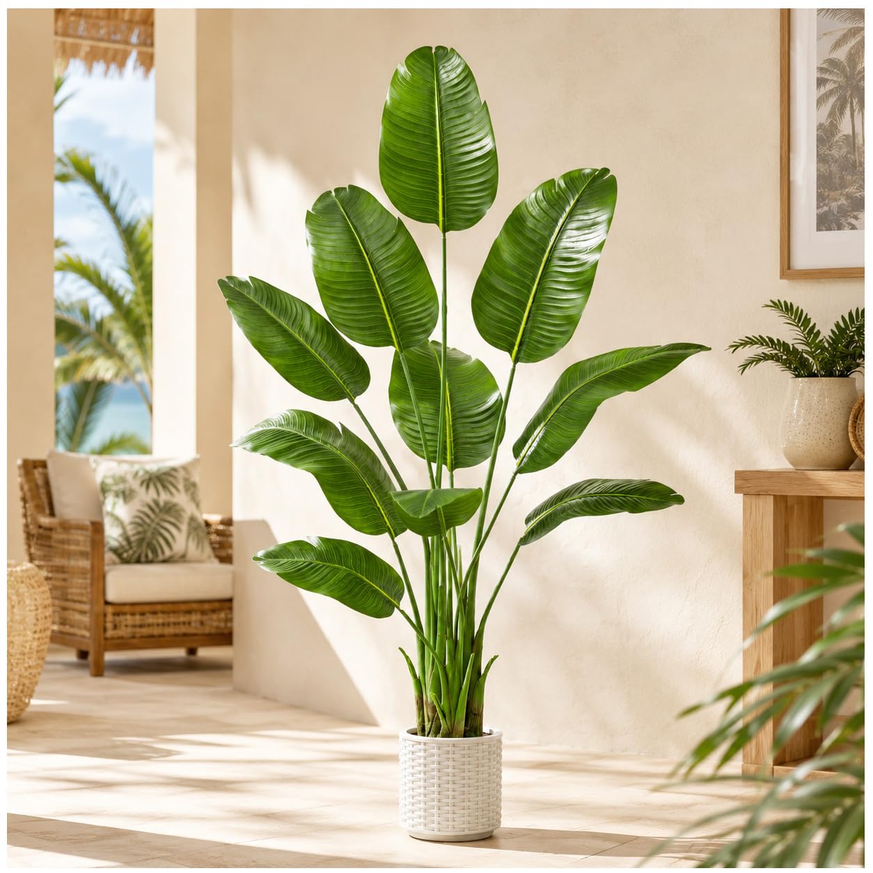 TNGGNT 6FT Traveler's Palm