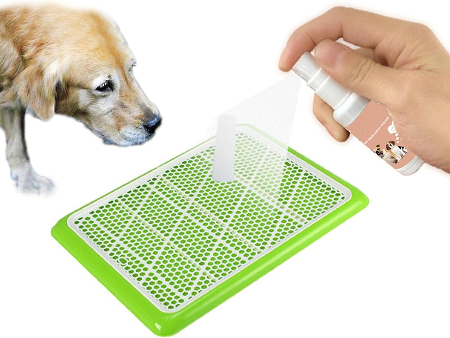 WeBetter Dog Potty Training Spray, Pet Defecation Inducer, Dog Toilet