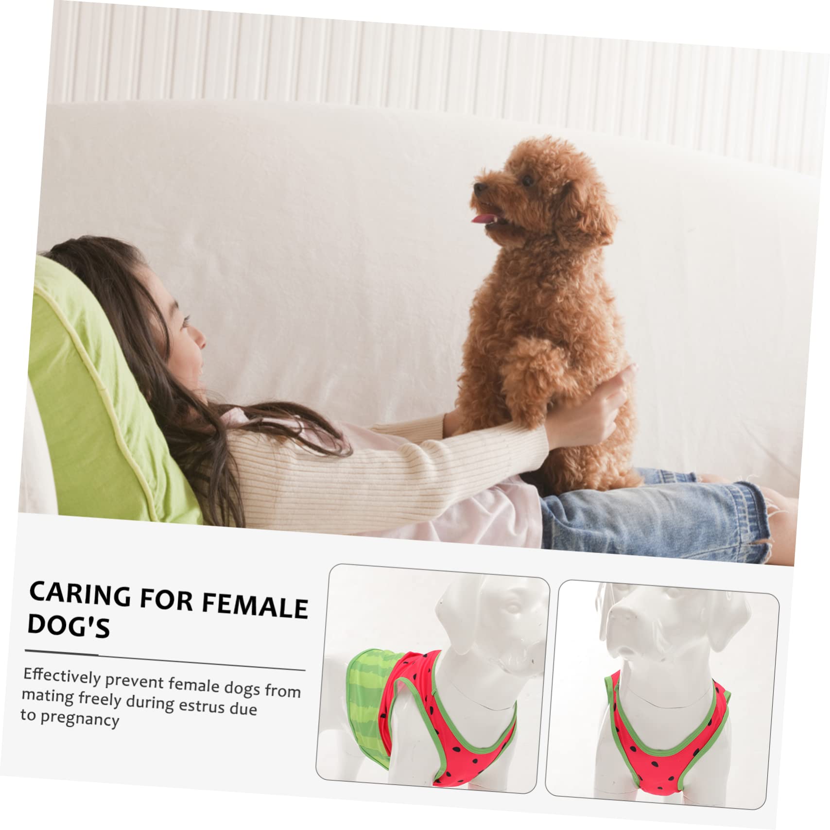 Vêtements Rafraîchissants pour Animaux de Compagnie Gilet pour Chien