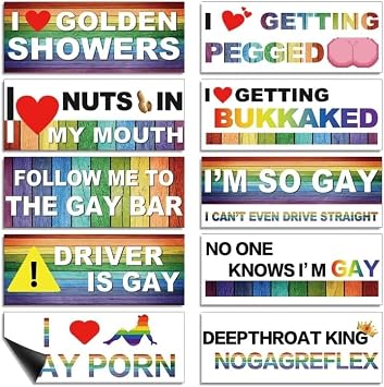 10-Pack Personalized Fun LGBT Bumper Stickers Colorful Magnetic Stickers Accessories Suitable for Cars, Computers, Motorcycles, refrigerators and Other Magnetic Objects
