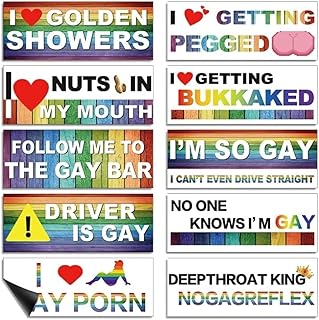 10-Pack Personalized Fun LGBT Bumper Stickers Colorful Magnetic Stickers Accessories Suitable for Cars, Computers, Motorcycles, refrigerators and Other Magnetic Objects