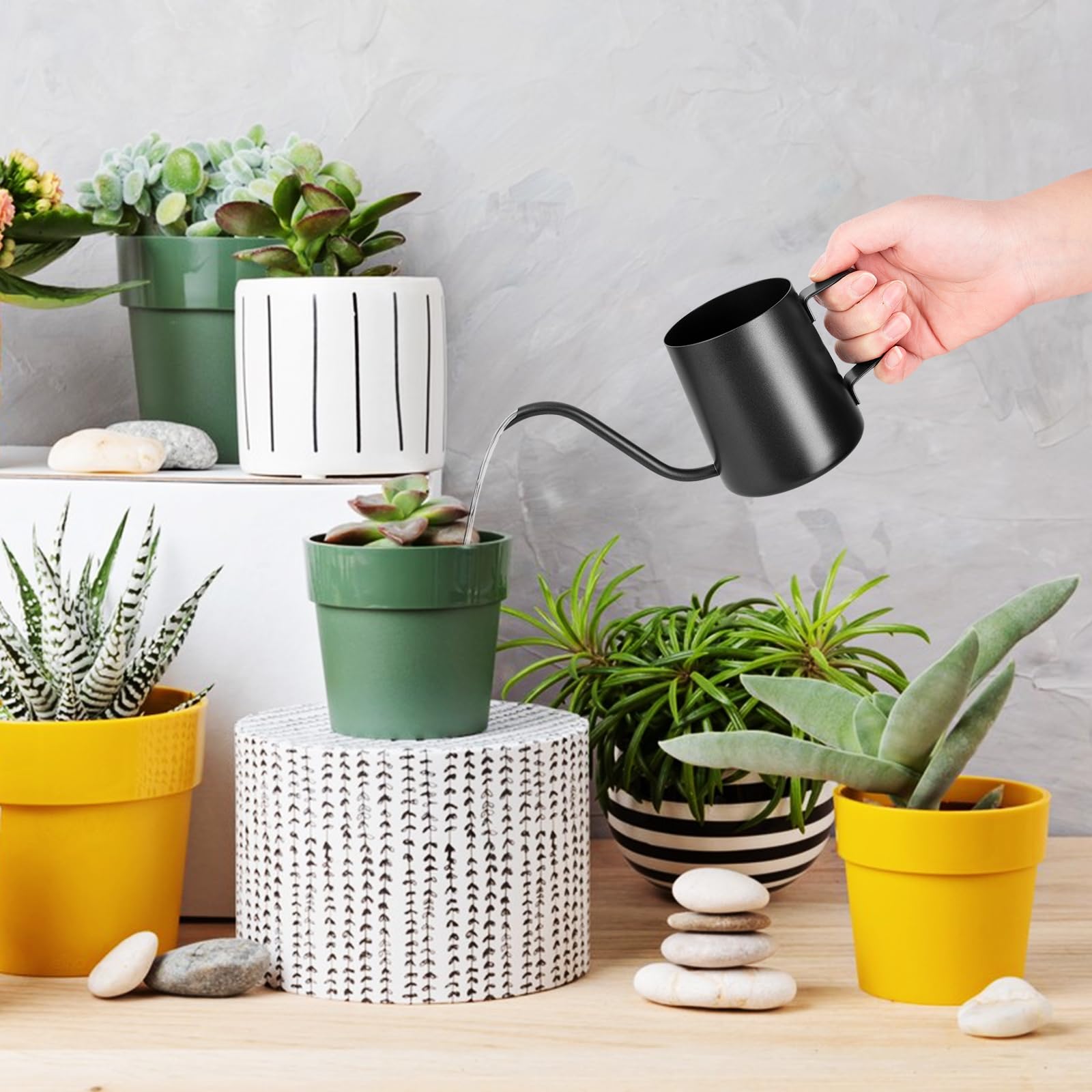 XTDMJ 250 ml Black Watering Can for Small Indoor Plants Succulents - Stainless Steel Long Spout, Mini Garden Design - Image 2