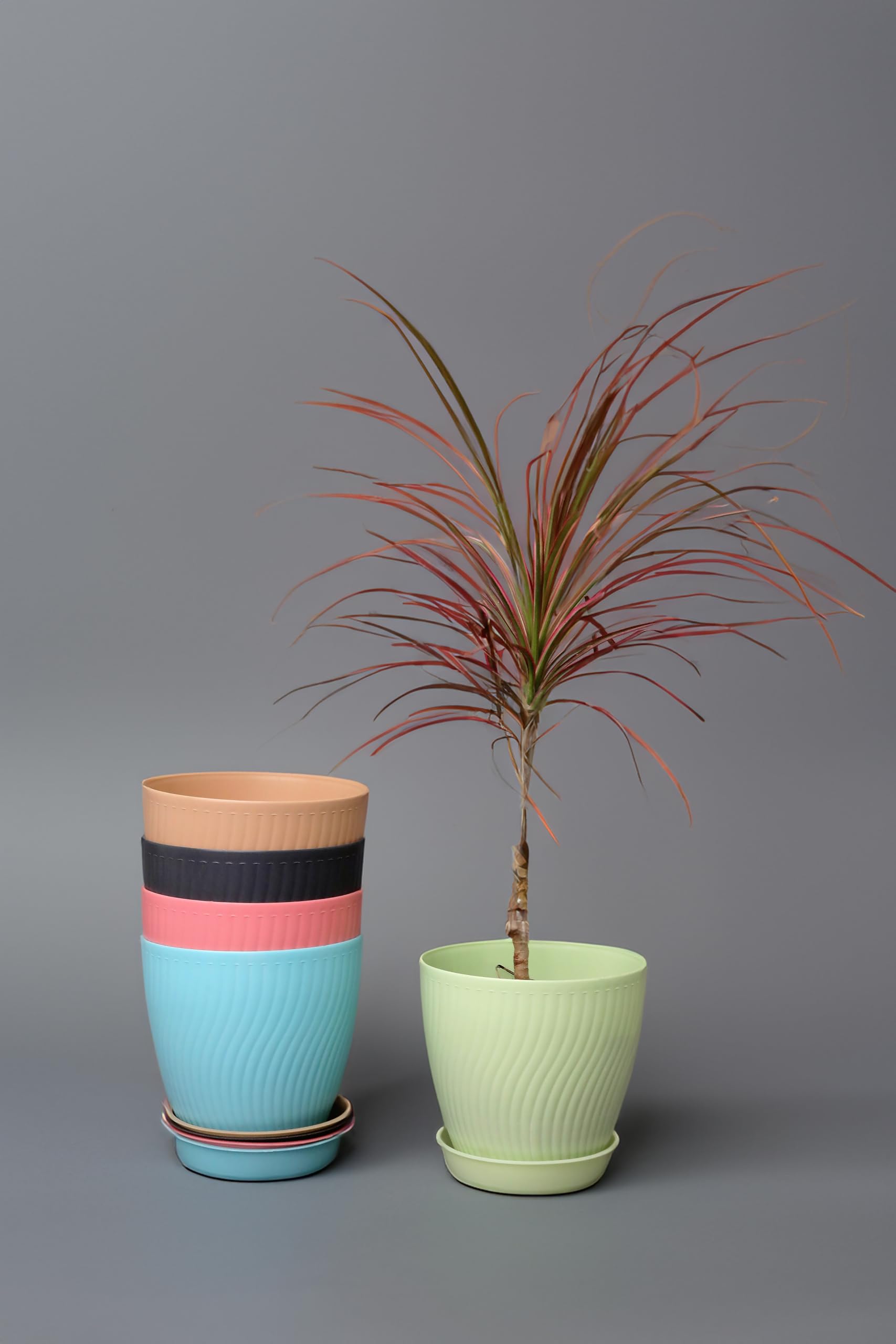 Taiga Pots for Plants - Flower Pots for Home Decoration, Indoor Plant Pots, Decorative Flower Pot, Gamla for Plants, Planters for Living Room, 5 Piece Plastic Planter, S Curve Shape (B0DFYQ2JBS) Amazon Price History, Amazon Price Tracker
