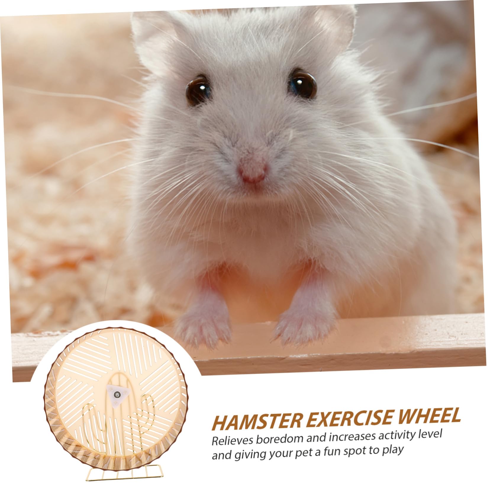 Hohopeti Roue d'exercice pour Chinchilla et Ours en Soie Dorée, en Plastique et Alliage, pour Cage et Activité Animaux de Compagnie Couleur Aléatoire