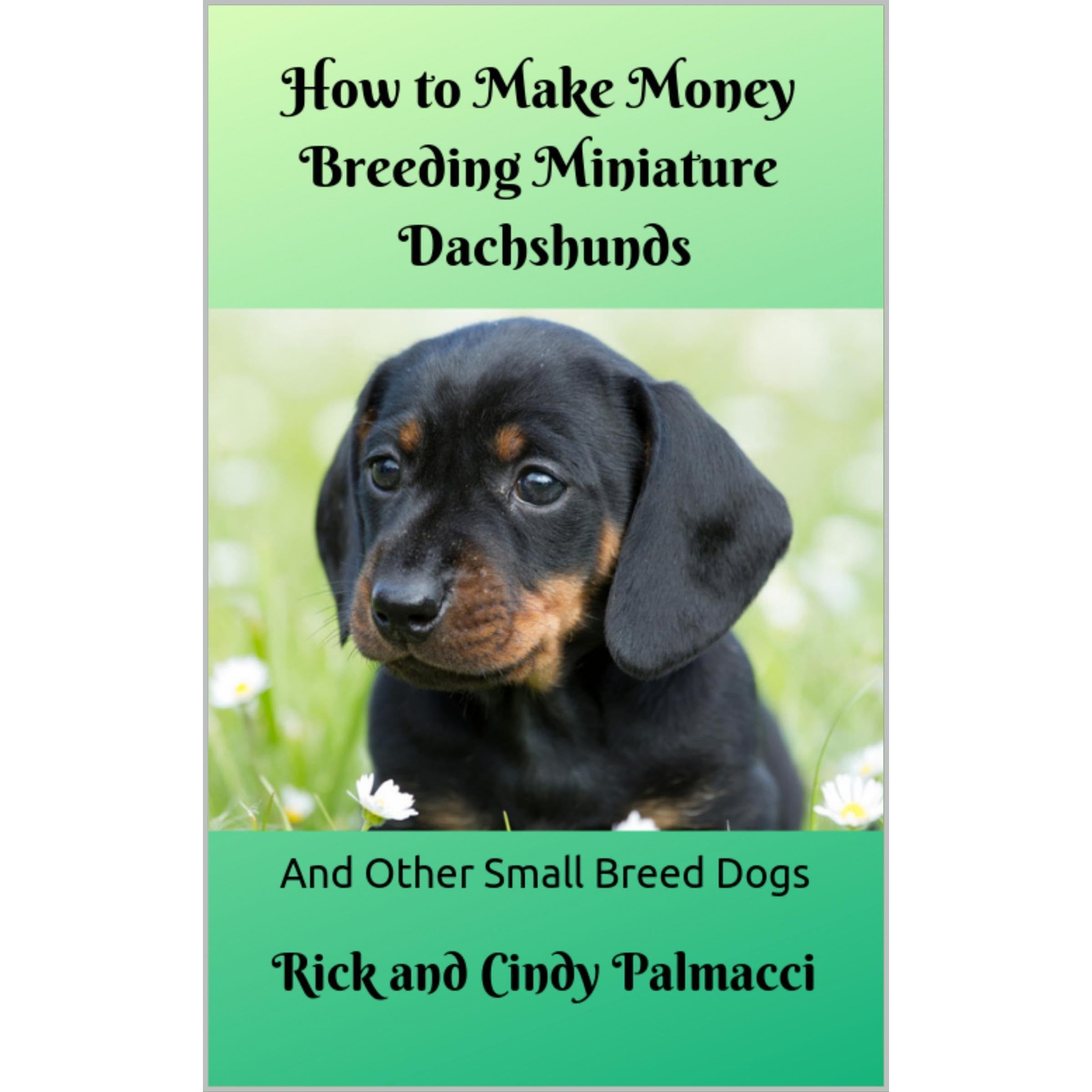 How to Make Money Breeding Miniature Dachshunds