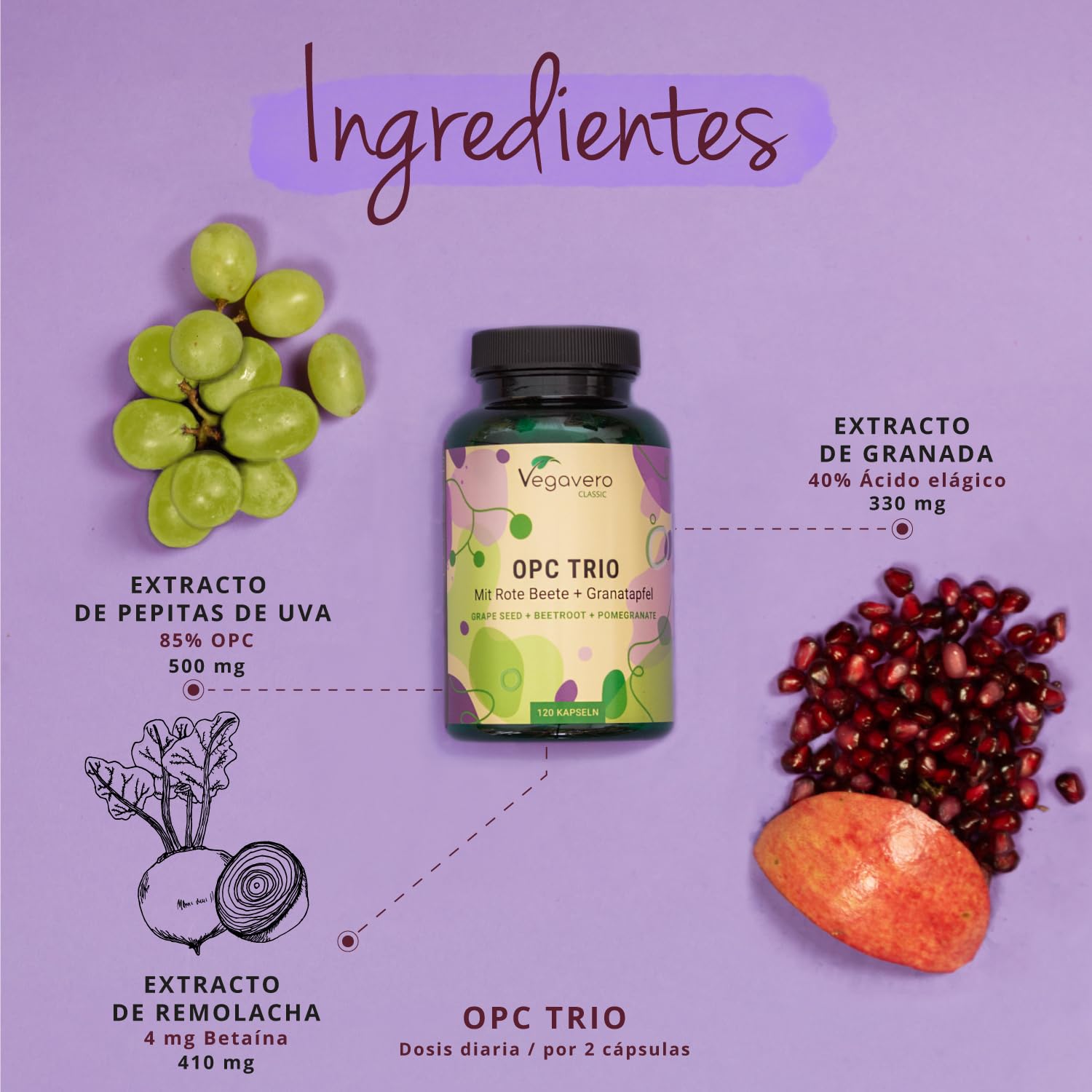 OPC | 12.500 mg de Extracto de Semilla de Uva | Antioxidante Natural para Circulación | Alta Dosis de Uvas Italianas | Vegano & Sin Pesticidas | Vegavero