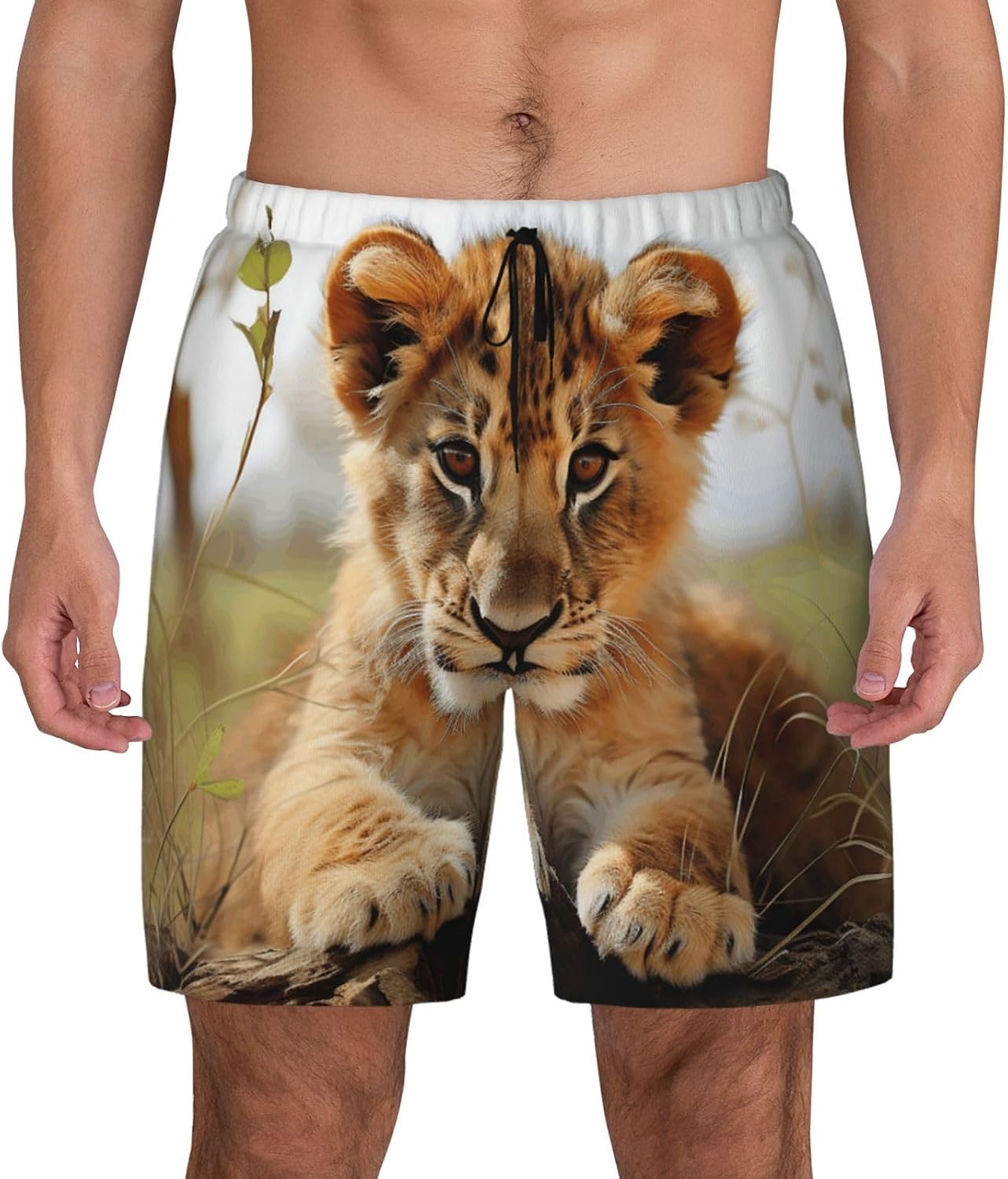 Men's Swim Trunks Quick Dry Board Shorts Mens Bathing Suit Swimsuits Cute Little Animal Lion Beach Shorts with Pockets