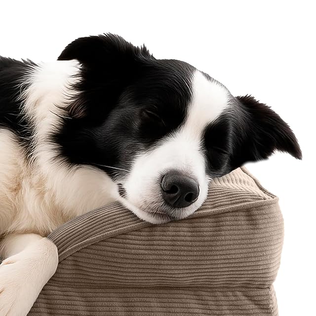Foto 3 de 5 de Lumaland Cama ortopédica para Perros de Pana