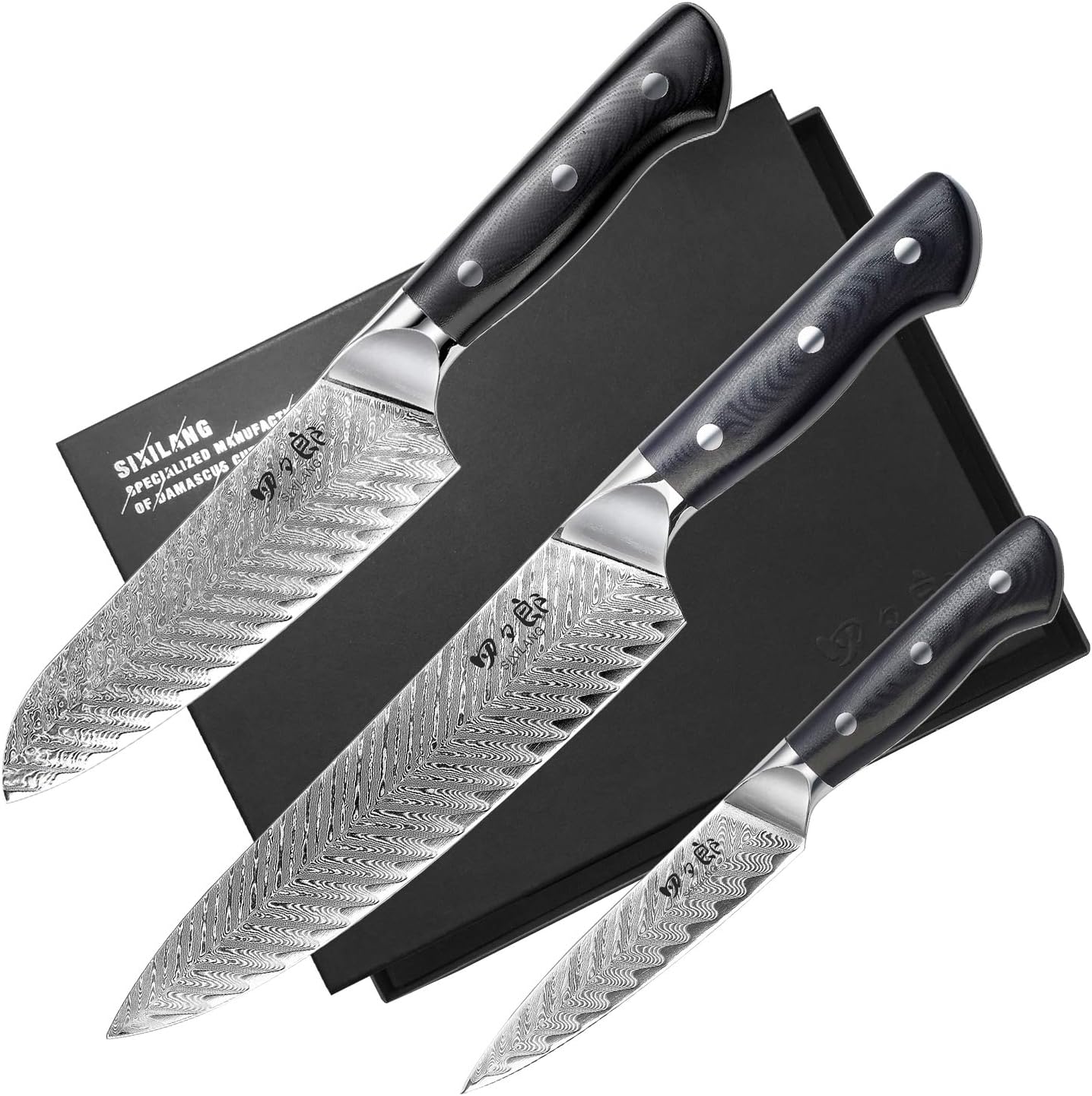 Knife Set, 3 PCS Professional Damascus Chef Knives, 67 Layer Japanese AUS10 Steel Core Forged Kitchen Knives, Well-Balanced Full Tang Handle Triple Rivet Handle - Black Gift Box