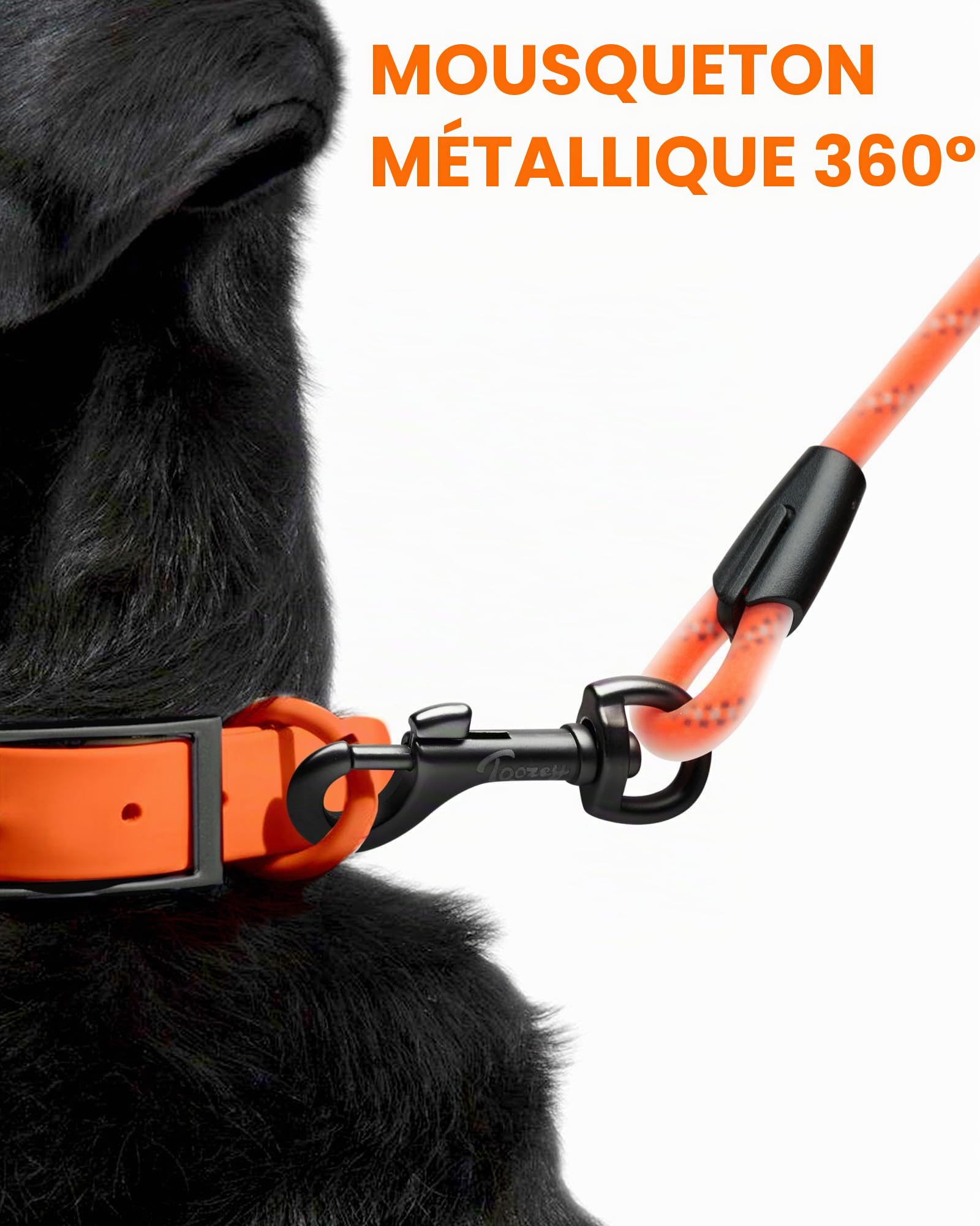 Laisse pour Chien - Imperméable et réfléchissante pour la sécurité - Légère, Solide et Robuste - Laisse d'entraînement avec dragonne - 5m/10m/15m/20m pour Petits, Moyens et Grands Chiens
