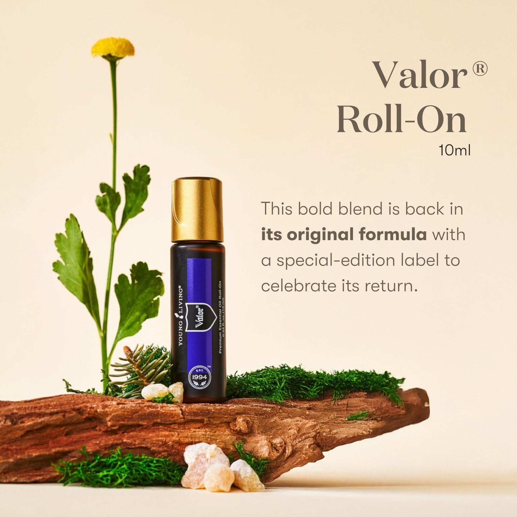 Amazon.com: Young Living Valor Roll-On 10 ml - Essential Oil with
