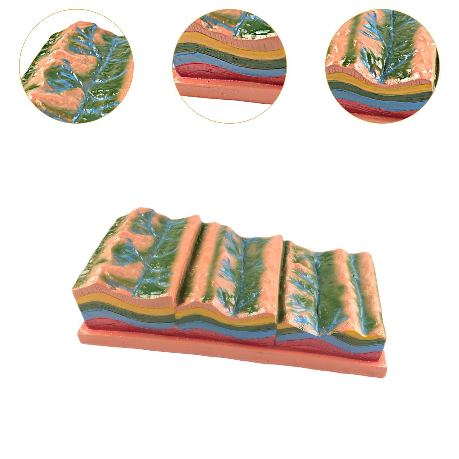 Geological Folding Model Classroom Aid – Fold Structure & Geomorphic Demonstration Tool, 17.72 Inch PP Material Educational Prop for Geography Teaching