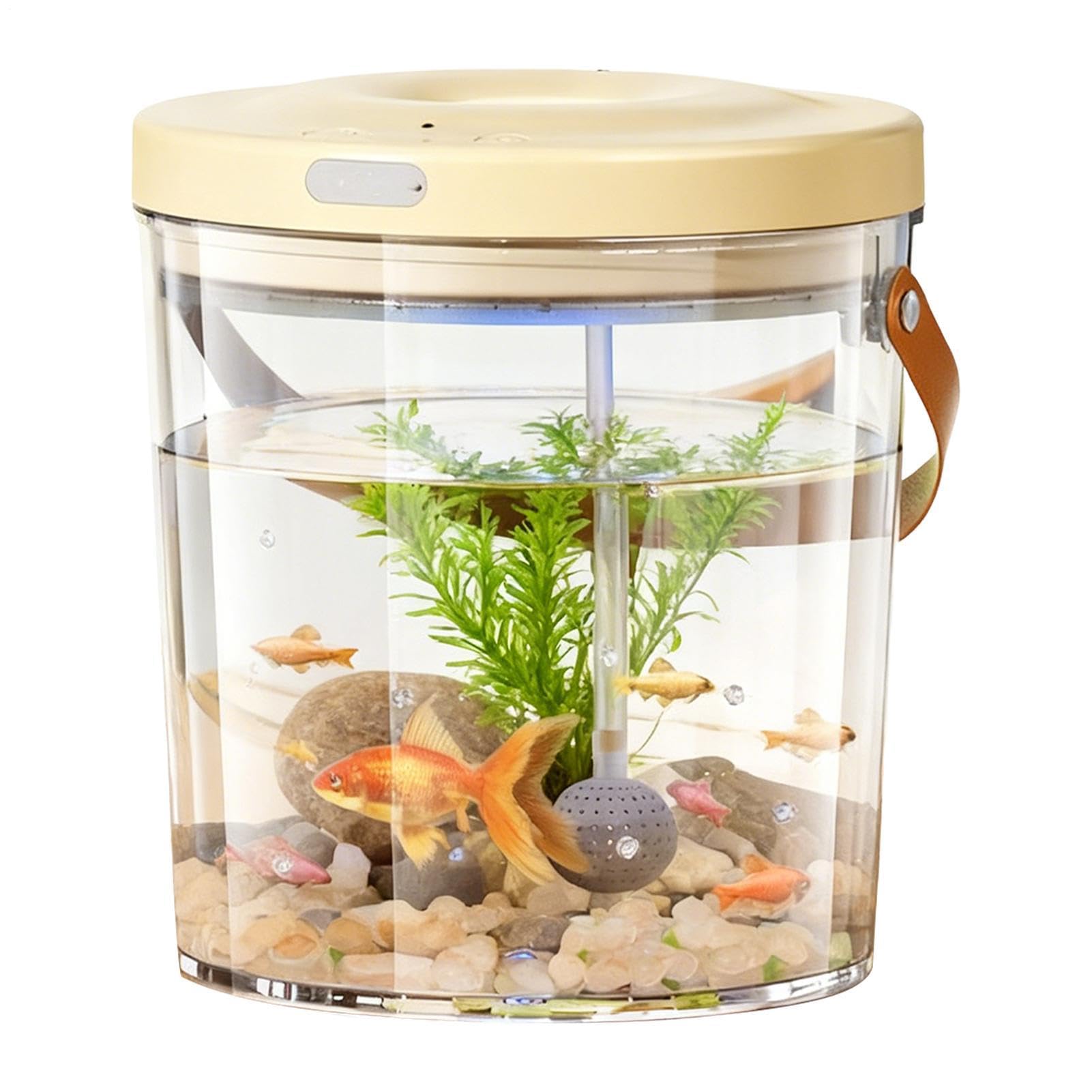 Appât pour reptiles et poissons dans un petit aquarium transparent lumineux