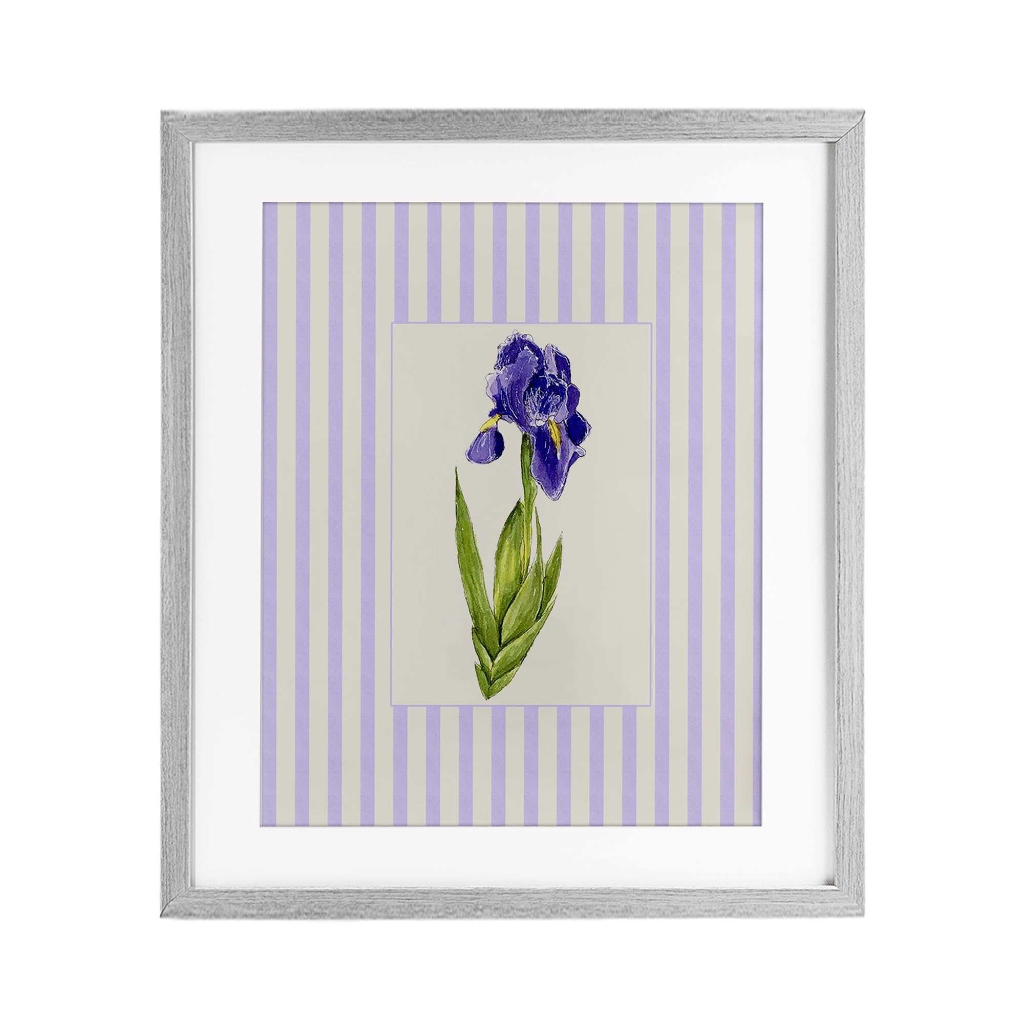 'Purple Stripe Iris'| Framed Print Under Glass