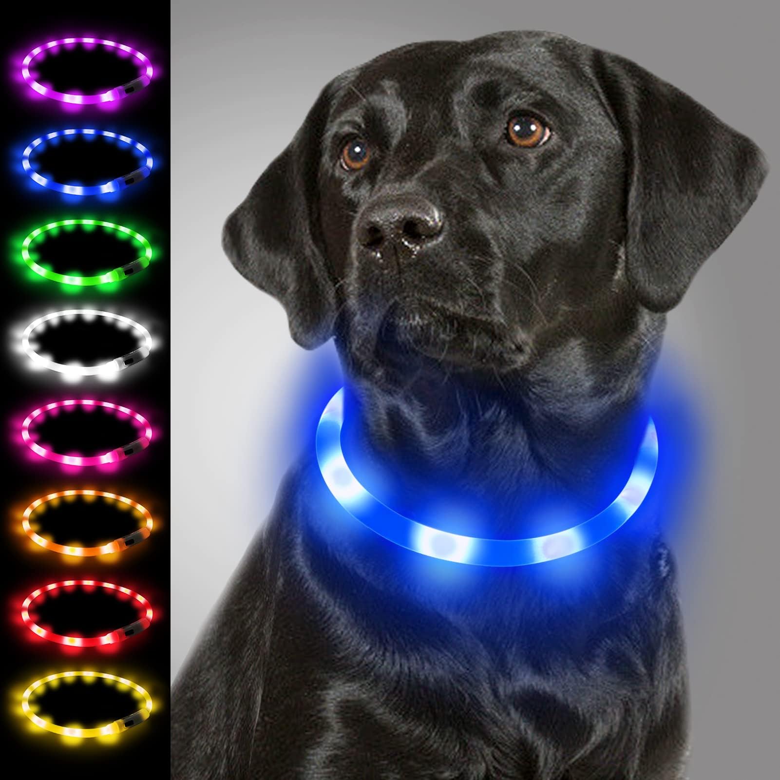 Light Up Dog Collar, LED Silicone Cut-to-Fit Rainproof, Blue