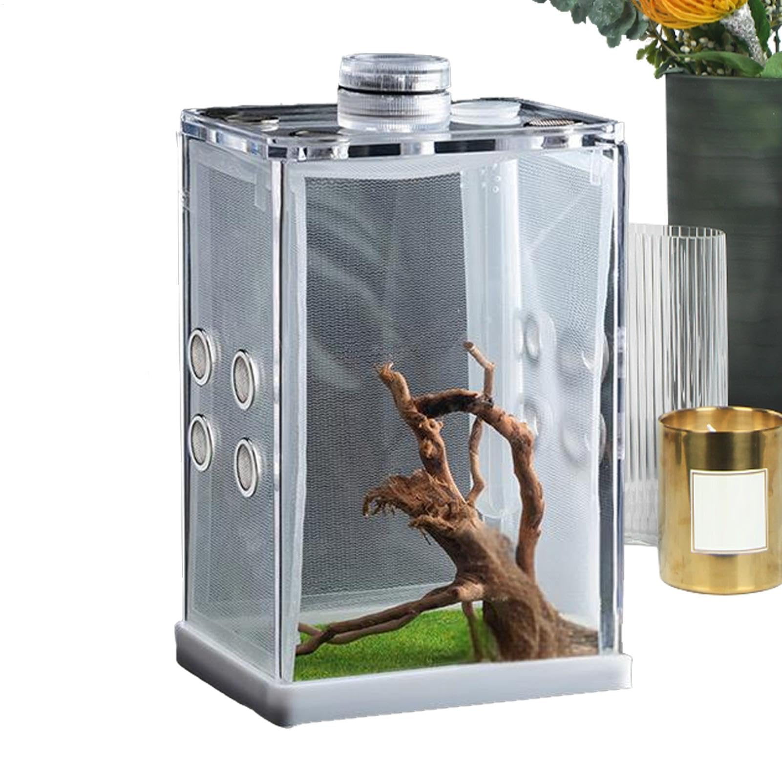 Terrarium Kit, Reptile Breeding Box, Jumping Spider-Enclosure, Stick ins-ect Enclosure, Acrylic Reptile Transport Box, Rectangle Black Small ins-ects Terrarium, For Spide, Lizard, Scorpion, Mantis