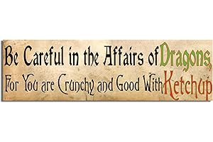 Funny Car Magnet: 'Be Careful in the Affairs of Dragons, for You...