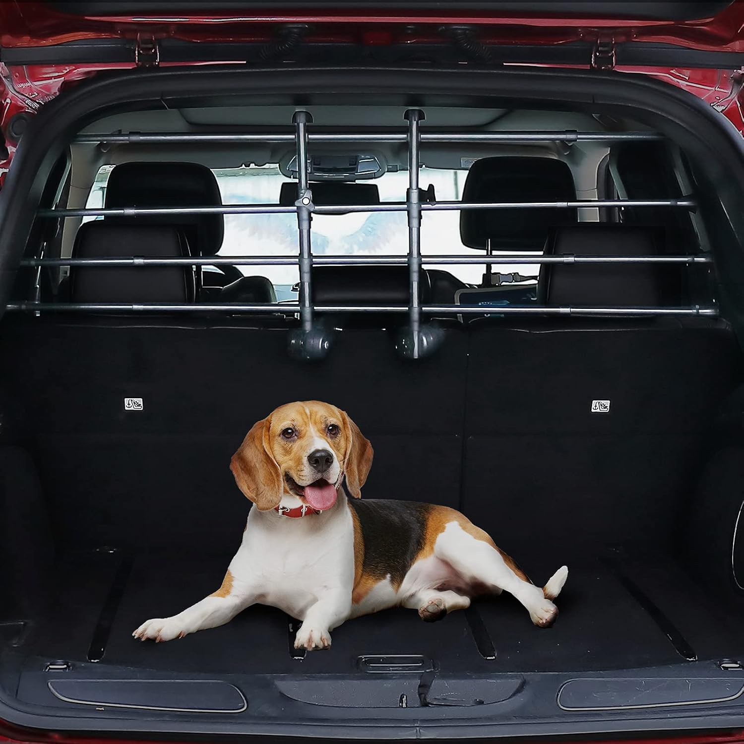 dog car gate