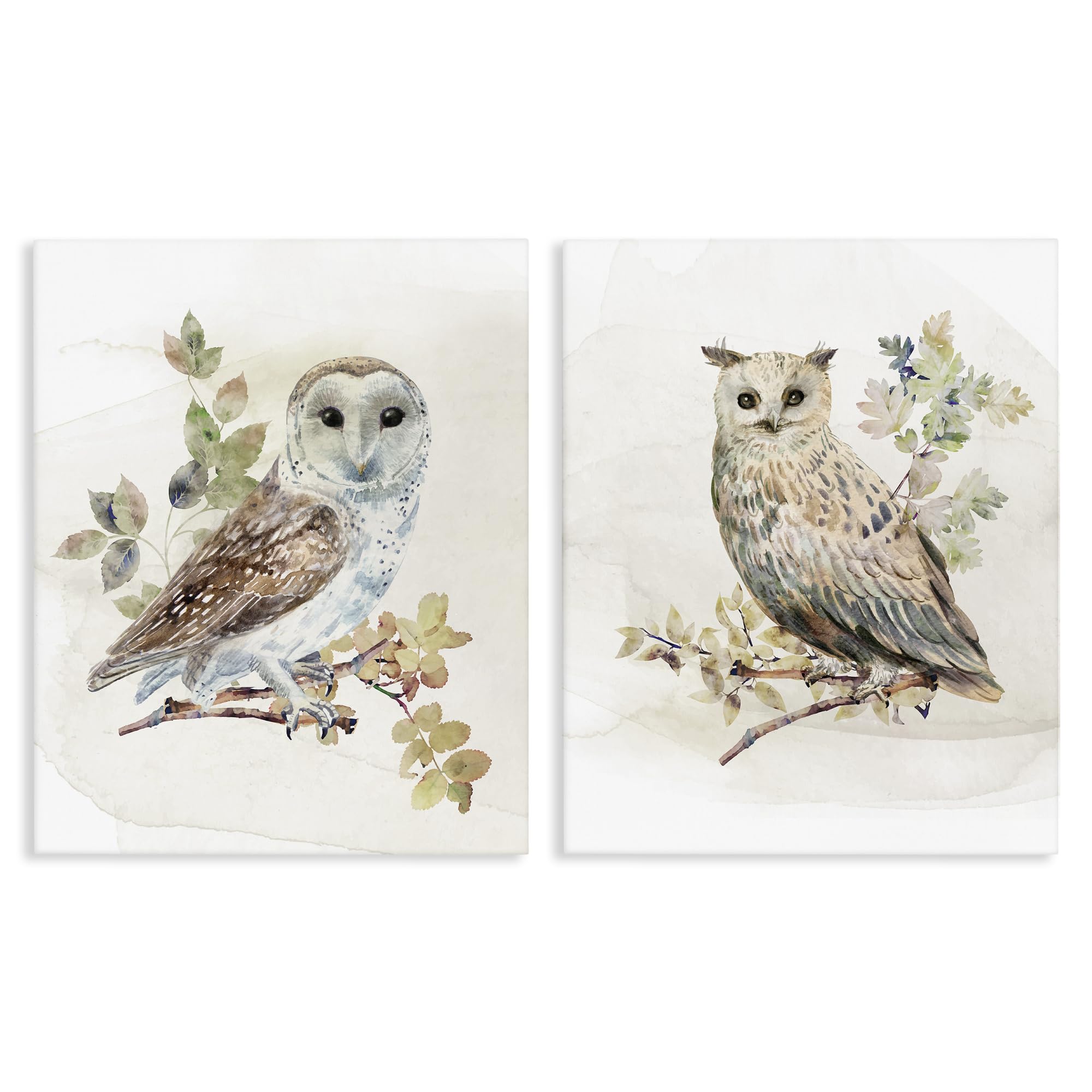 Stupell Industries 'Owls Perched in Foliage', 2pc Canvas Art Set 2, 24 x 30 Inches, Easy to Hang and Sturdy, Made in USA, by CAD Designs