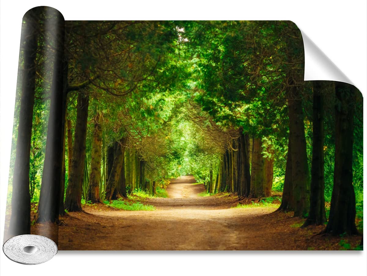 Papier peint chemin des arbres Tulup 416x254 cm décor camouflage pour salon