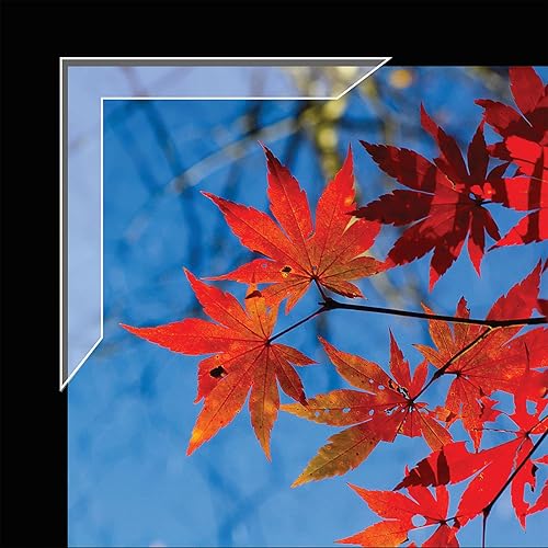 Miniatura 3 de Lineco Esquinas de montaje delgadas de polipropileno de 1.25 pulgadas. Paquete de 72. Autoadhesivas, sensibles a la presión, no amarillean, imágenes