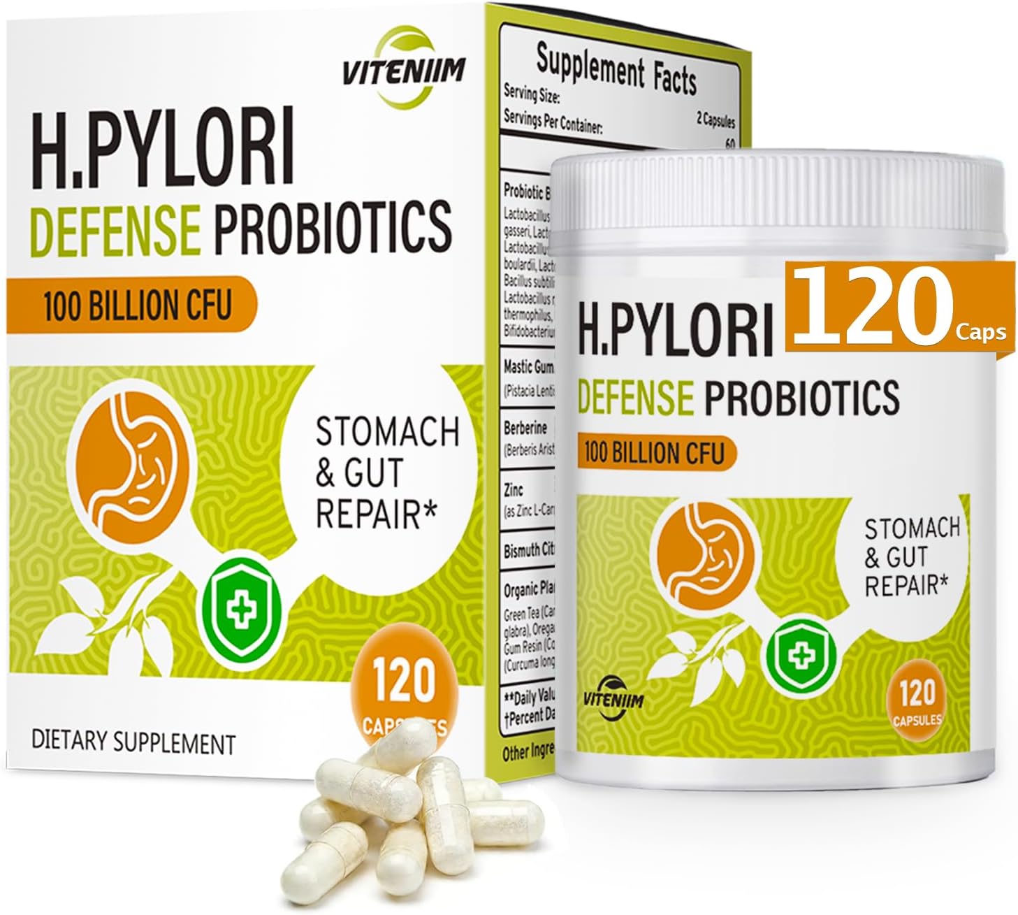 Helicobacter Pylori Defense Probiotics – Formulated with Lactobacillus reuteri, Mastic Gum, and Berberine, 100 Billion CFU, Gastritis, Digestion & Gut Health for Stomach Comfort, Vegan, 120 Capsules.