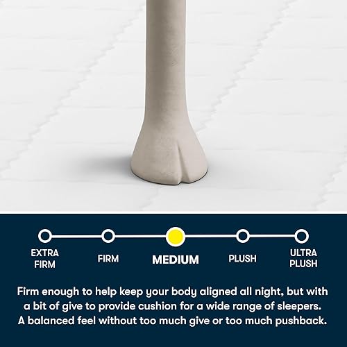 Vista 5 de Five Star Mattress Tranquility de 8 Pulgadas Mediano – Completo – Soporte Lumbar Zonificado, Espuma Refrescante, Alivio de Presión – Cama en una