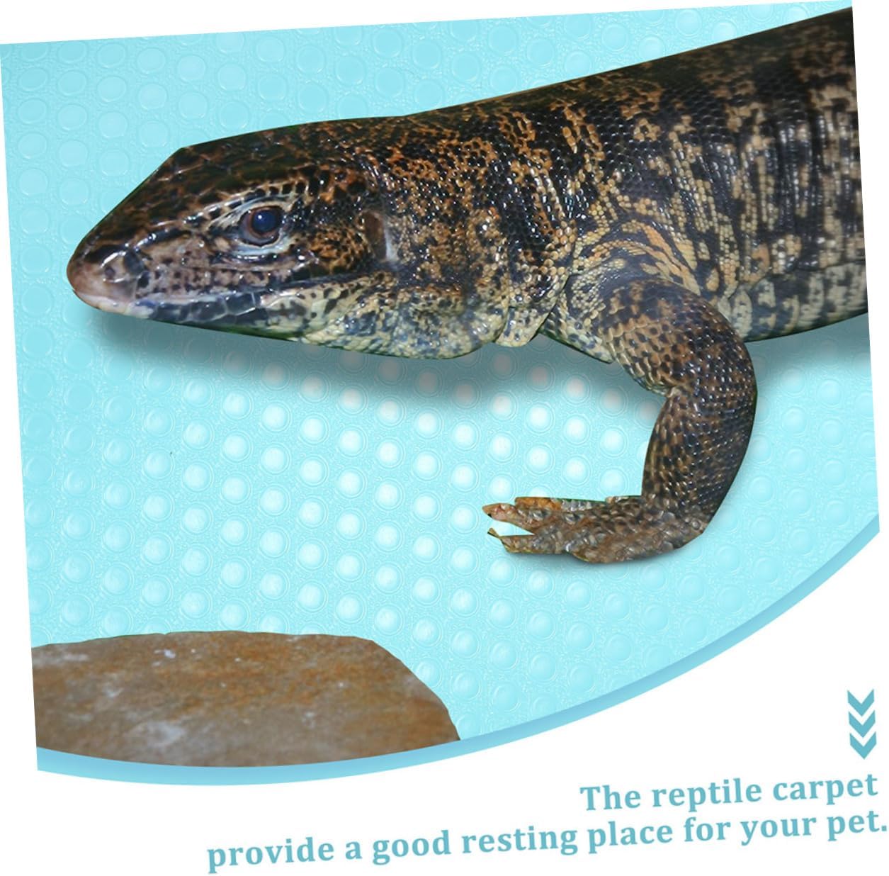 Reptile Carpet Substrate for Terrarium Material Breathable Comfortable for Bearded Dragon Tortoise Snake and Lightweight Easy to Clean