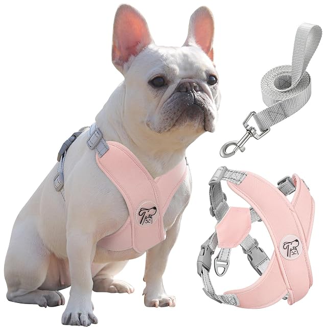 Pawaboo Conjunto de arnés y Correa Ajustable para Perros pequeños
