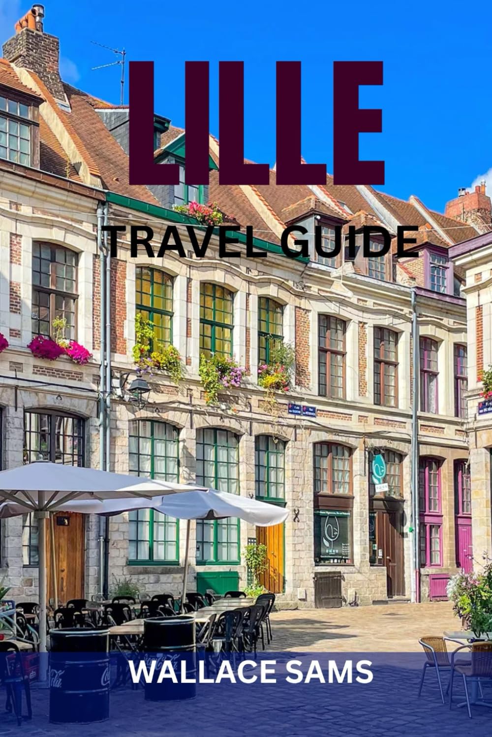 LILLE TRAVEL GUIDE: Explore Lille Like a Local: Top Sights, Hidden Gems, Food, Itineraries & Insider Tips for an Unforgettable Trip