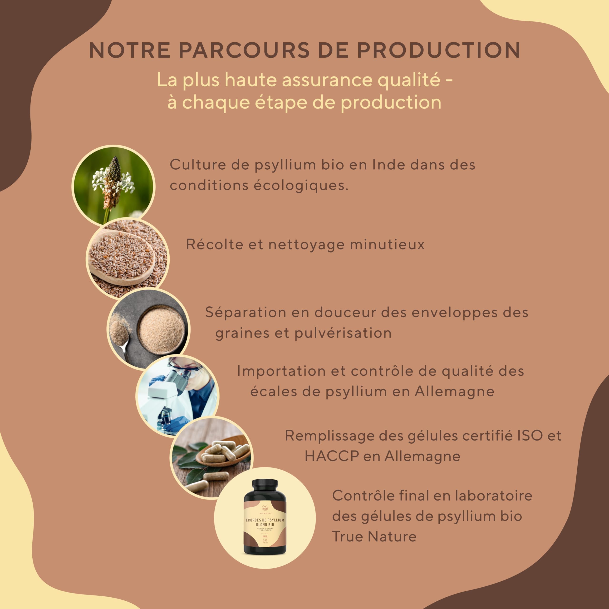 Psyllium Blond BIO | 4.500mg par jour - 360 Gélules pour 2 mois - Téguments purs à 99% - Riche en Fibres - Digestion & Fonction Intestinale - Vegan, Sans Additifs, Gluten & Lactose | TRUE NATURE