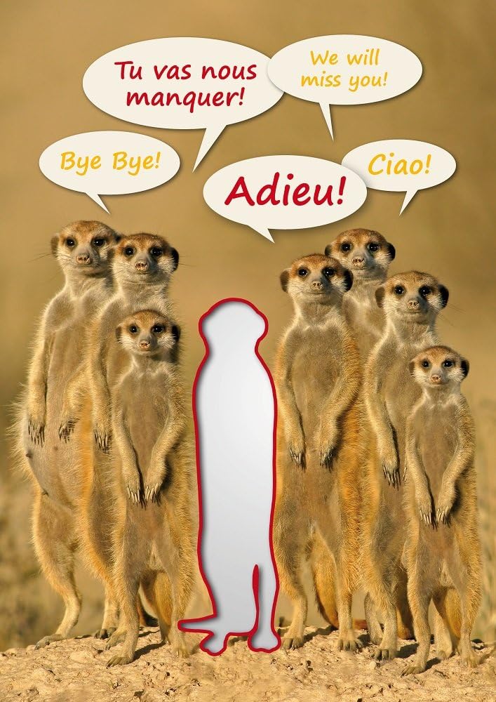 Edition ColibriGoodbye Card XXL We Will Miss You Maxi Card A4 (21 x 30 cm) Fun + White Envelope for A Retirement or A Colleague Leaving (10720)