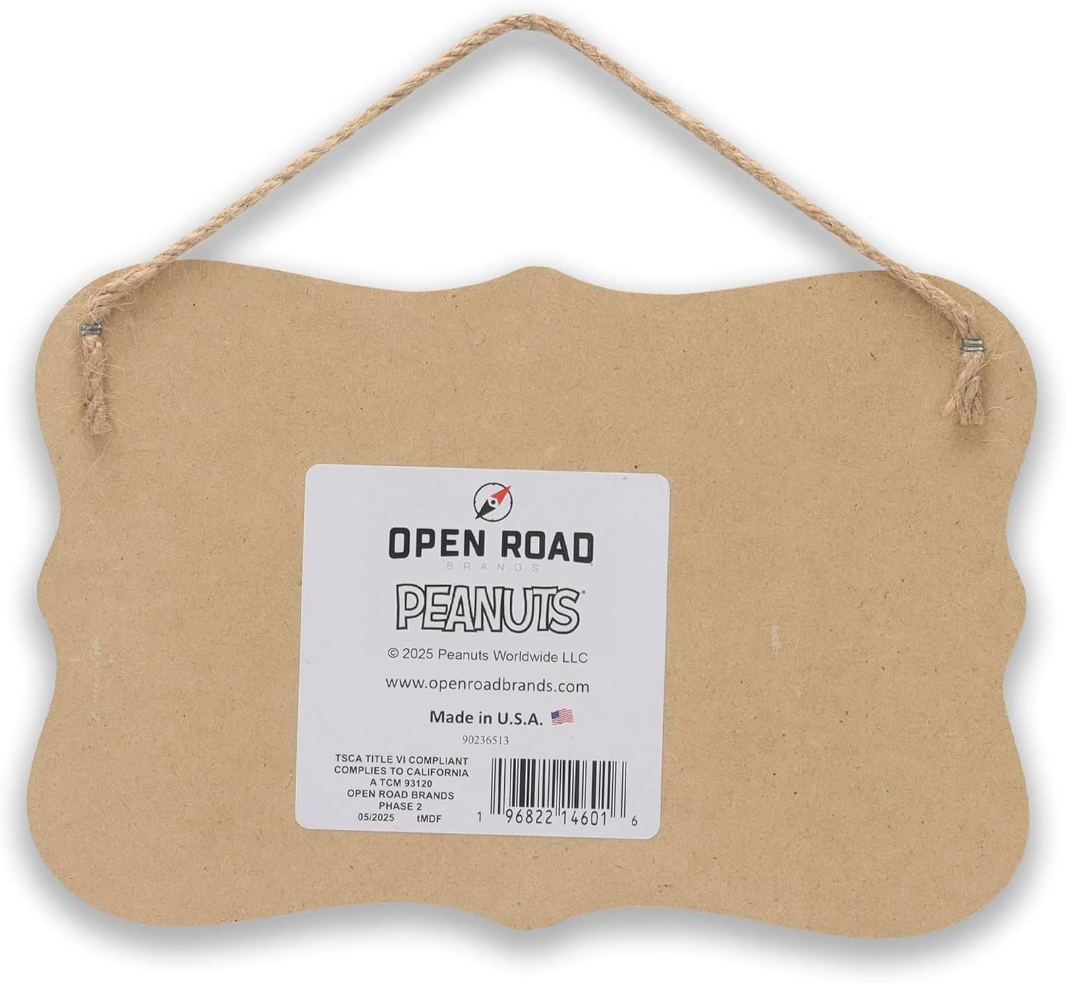 Peanuts Life Is Full of Surprises Hanging Wood Wall Decor - Fun Charlie Brown Sign for Fall Decor - Image 3