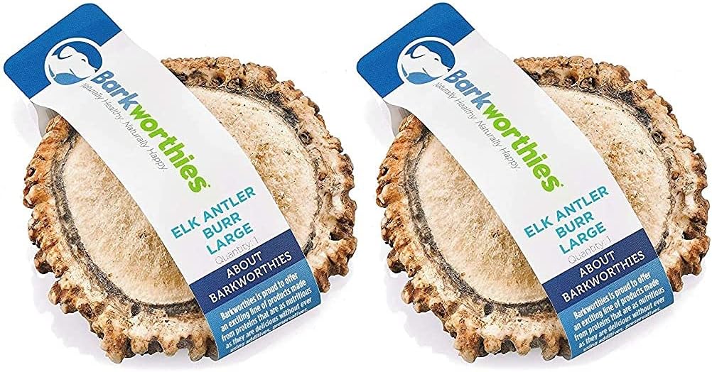 Barkworthies 2 Pack of Elk Antler Burr Dog Chews, Large, All Natural, Long Lasting, Made in The USA