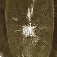 Vista 83 de Toupee - Pieza de pelo para hombres, piezas de prótesis de cabello humano real, piezas de prótesis de cabello humano real, para hombre, accesorios