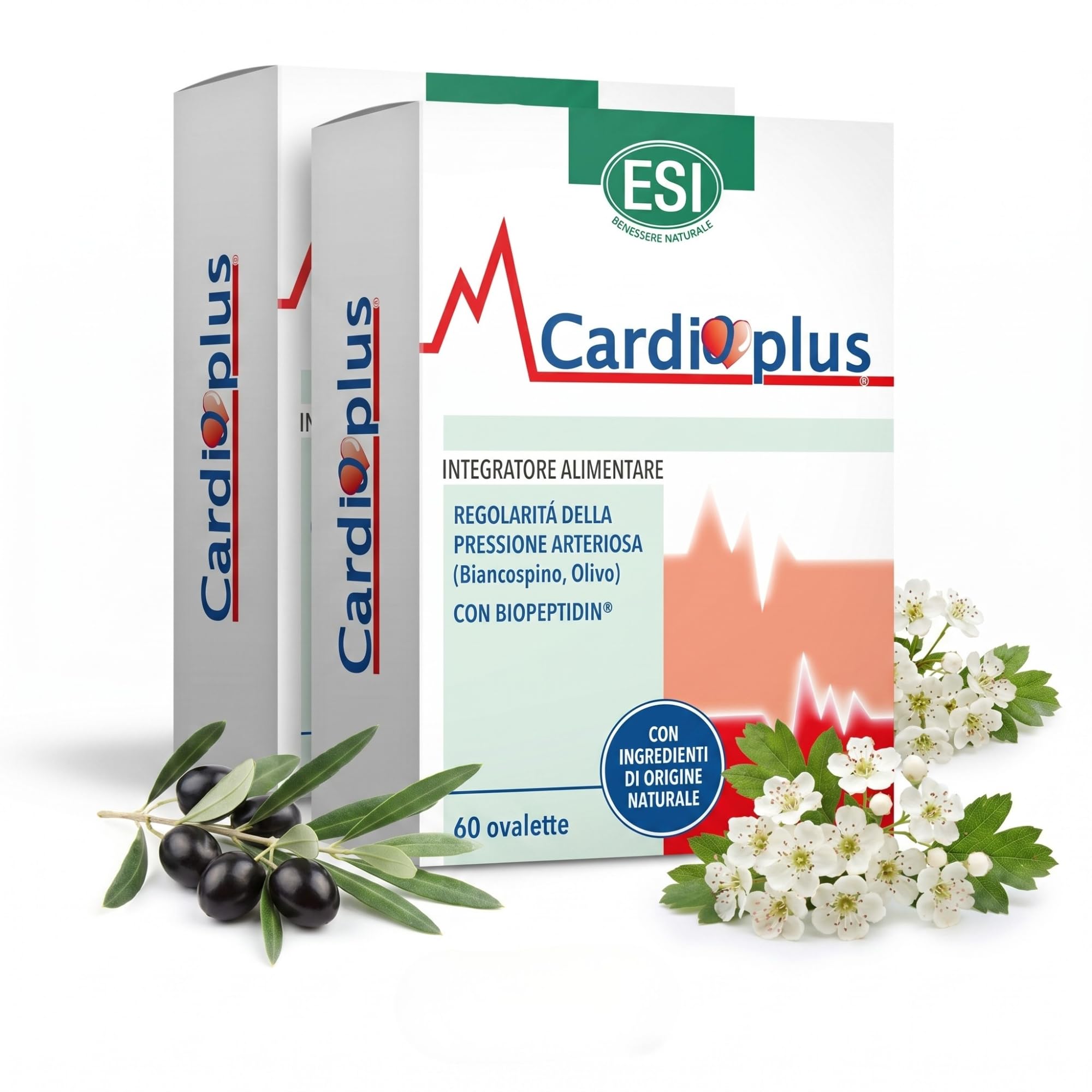 CARDIOPLUS - Complemento Alimenticio con Olivo, Espino Blanco y Caseína Hidrolizada - 60 Tabletas - Apoyo para la Función Circulatoria y el Equilibrio de la Presión