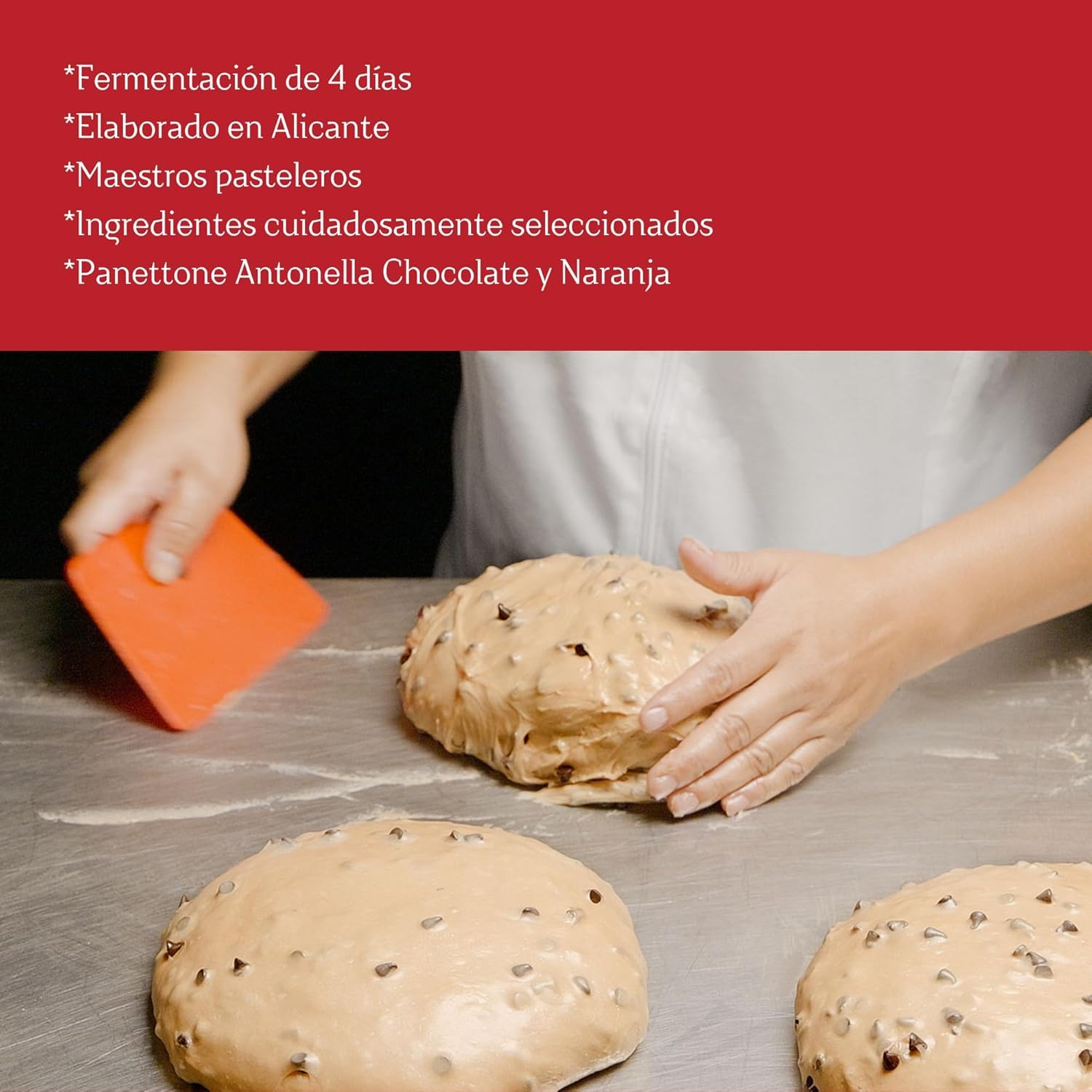Antonella Panettone Schokolade & Orange 600 g Handwerklicher Choco-Orangen-Panetone Natursauerteig