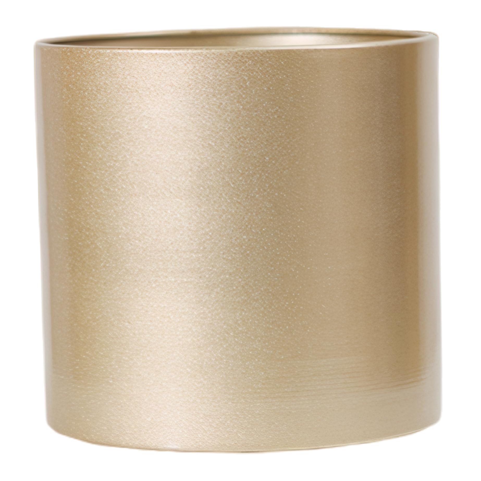 Métal antirouille de 9 pouces pour un pot de fleur durable et chic