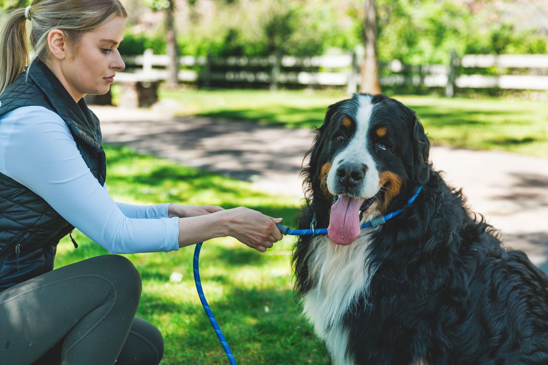 RUFFWEAR Just-a-Cinch Correa y Collar para Perros 2 en 1 de 1,5 m, Correa para Perros Ligera y Resistente, Correa antienredos para pasear Perros y adiestramiento de Perros antitirones, Verde Musgo
