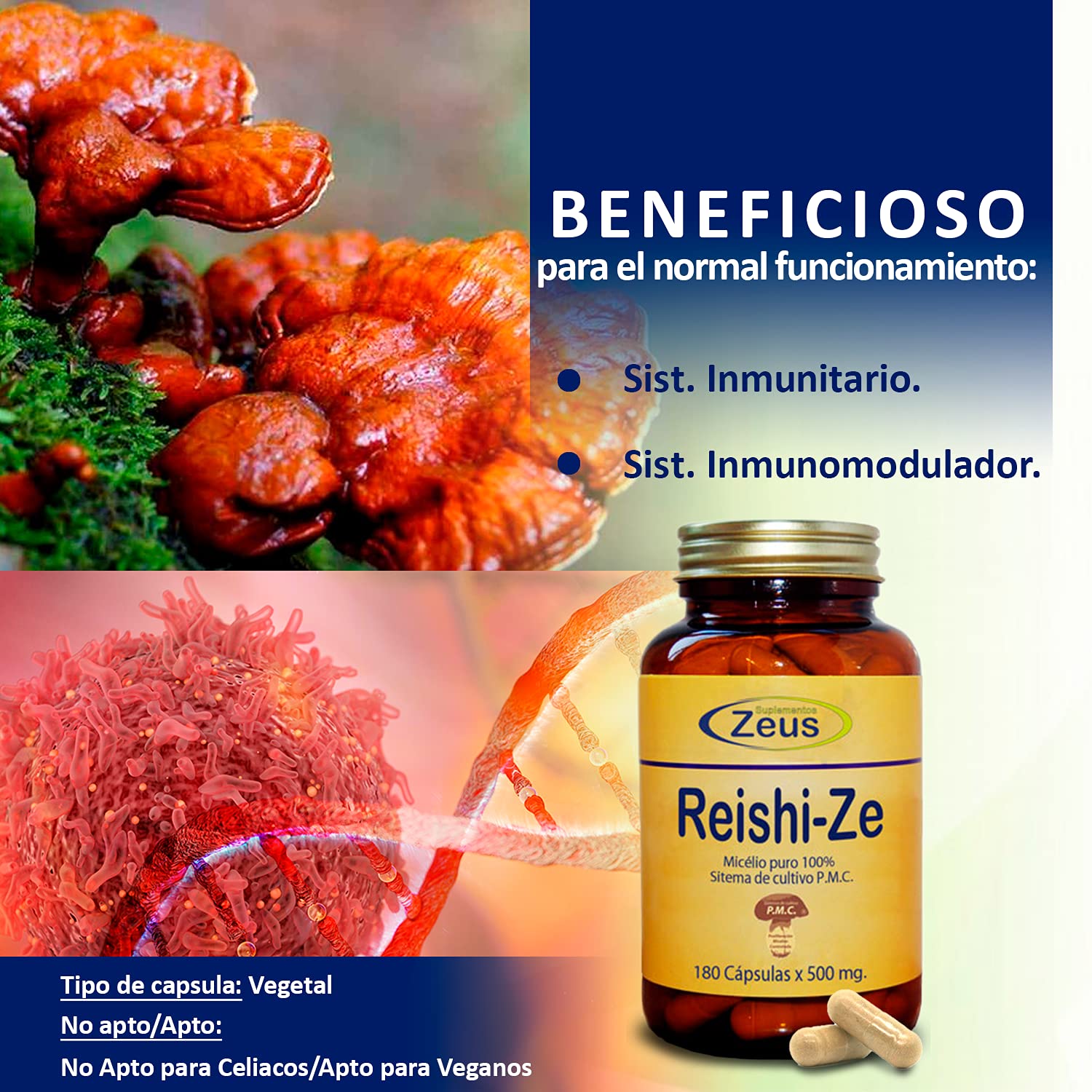 REISHI-ZE | Contribuye al funcionamiento normal del sistema inmunitario | Complemento Alimenticio a base de Reishi y Vitamina C | 100% Vegano | 180 Cápsulas Vegetales
