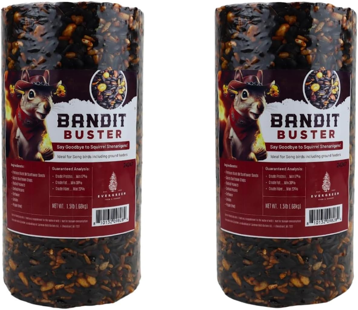 Birdseed Cylinders with Hole - Bird Seed for Outside Wild Birds (Small Cylinder, Bandit Buster 2pc)
