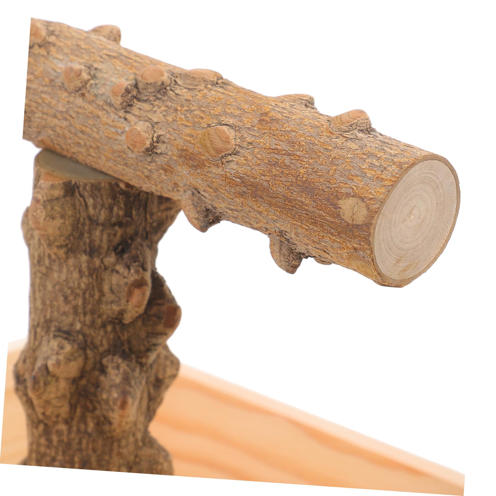 UKCOCO Sittichsitzstange Aus Holz Für Vogeltraining Natürliche Papageiensitzstange Für Sittiche Nymphensittiche Unzertrennliche Vögel Und Tauben Robust Und Dekorativ Für Vogelkäfig