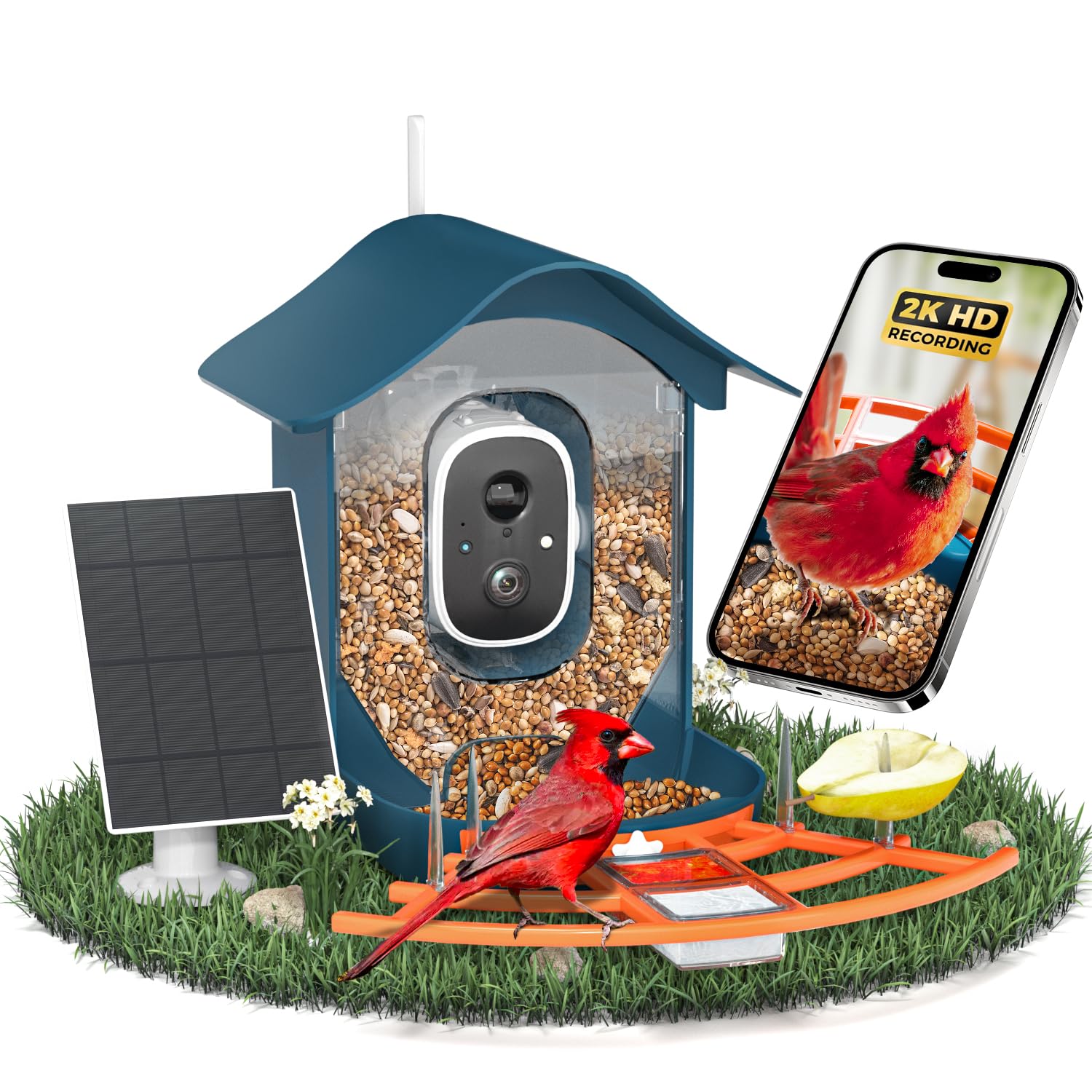 DOCOON Smart Bird Feeder with Camera B4