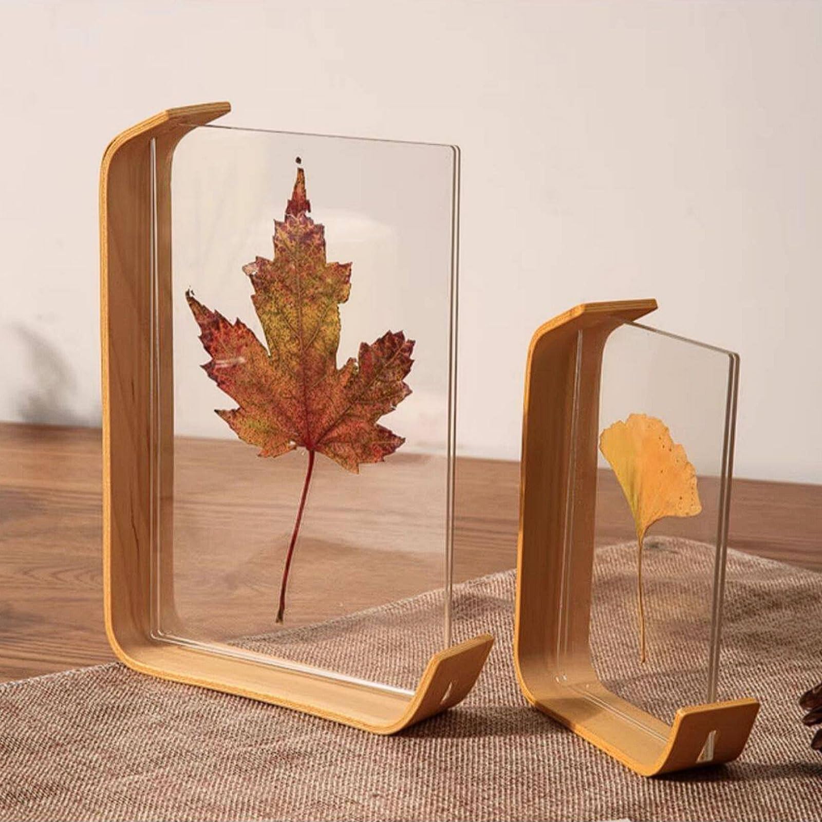 Dwustronna, przezroczysta ramka na zdjęcia 3D do prezentacji okazów roślin, kwiatów reliefowych (Legno, 14 x 21 cm)