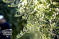 Vista 8 de Castillo de Canena Aceite de Oliva Virgen Extra Primer día de cosecha 2025/2026 Arbequina 16.9 fl oz De España