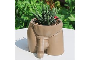 Irreverent & Urbane Penis Vase Beautifies Your Space