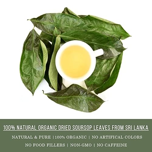 Miniatura 3 de HerbLk, Té de hojas secas de guanábana natural prémium de 30+ (0.5 onzas), hojas enteras, artesanal, graviola, hoja de guanabana, té de hierbas de