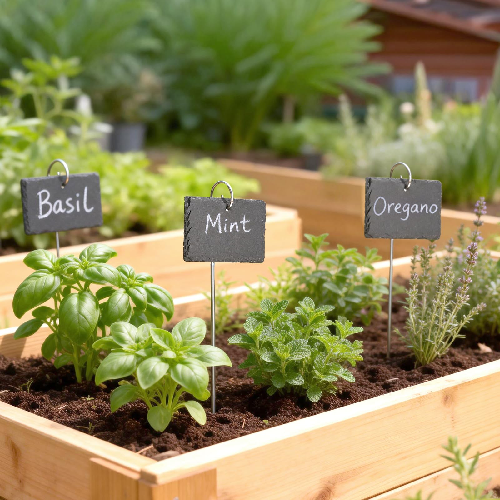 KINGLAKE 10 pièces étiquette pour plante en ardoise, étiquettes jardin exterieur, avec une tige de fer et de la craie, étiquette potager réutilisables, etiquettes semis plantation-rectangle